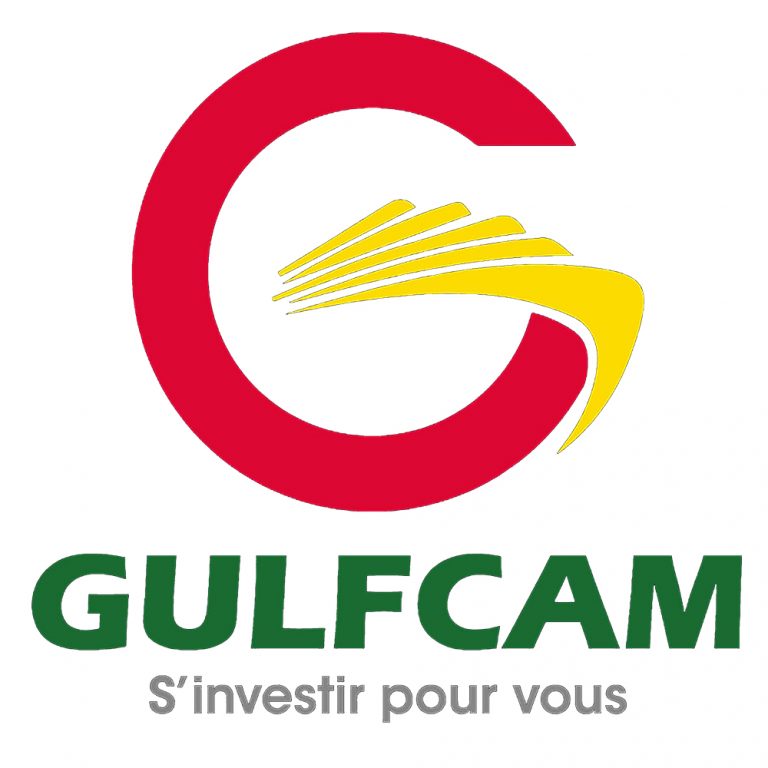 GULFCAM-768x768